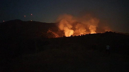 Bodrum'da otluk ve makilik alanda yangın