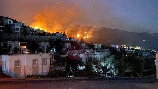 Bodrum'da otluk ve makilik alanda yangın