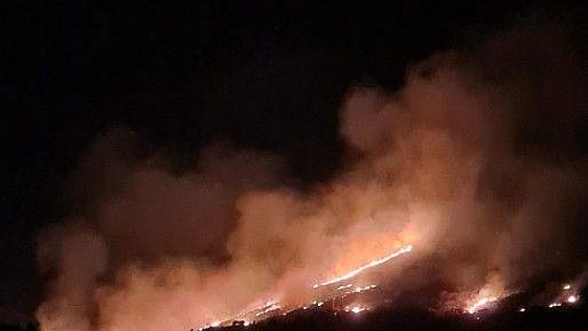 Bodrum'da otluk ve makilik alanda yangın