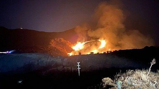 Bodrum'da otluk ve makilik alanda yangın