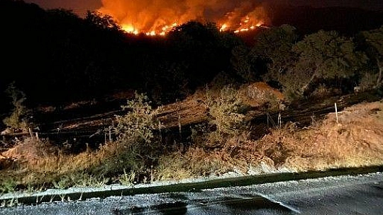 Bodrum'da otluk ve makilik alanda yangın