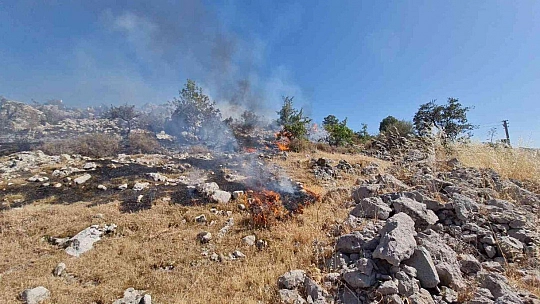 Bodrum'da otluk ve makilik alanda yangın