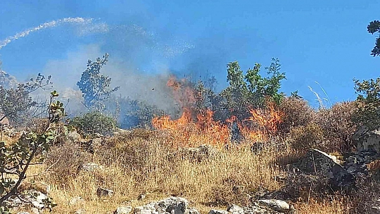 Bodrum'da otluk ve makilik alanda yangın