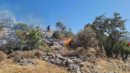 Bodrum'da otluk ve makilik alanda yangın