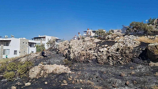 Bodrum'da otluk ve makilik alanda yangın
