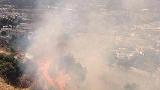 Bodrum'da otluk ve makilik alanda yangın