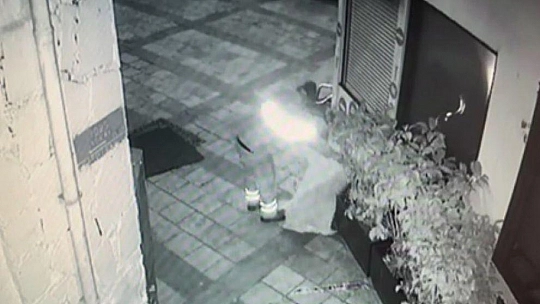 Bodrum'da yürek ısıtan görüntü