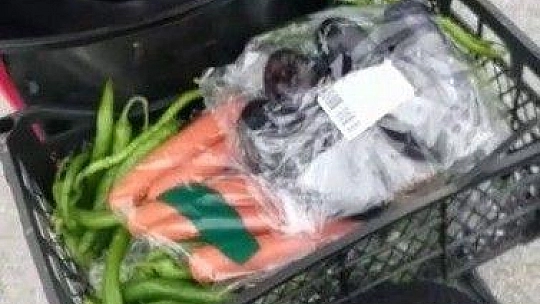 Çöpten taze meyve sebze çıktı