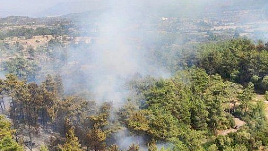 Dalaman'da orman yangını