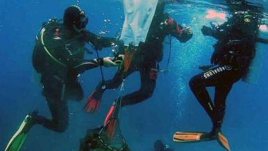 Datça'da su altı temizliği