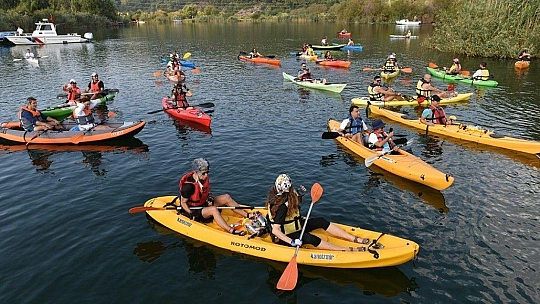 Deniz kaplumbağalarının 'annesi' için şükran geçişi