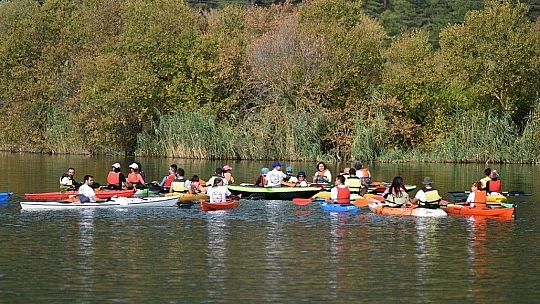 Deniz kaplumbağalarının 'annesi' için şükran geçişi