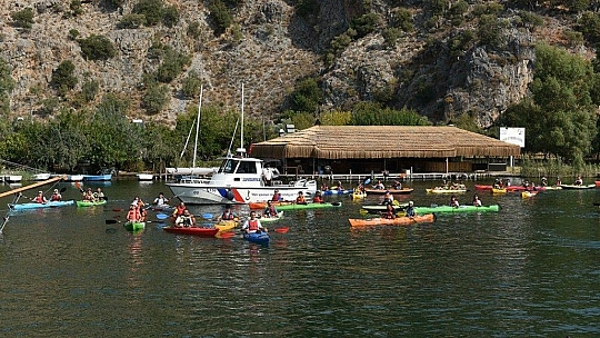 Deniz kaplumbağalarının 'annesi' için şükran geçişi