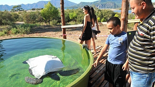 Dolu dolu bir tatil önerisi Dalyan