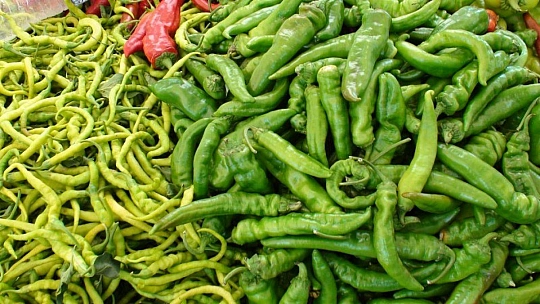 ÜRETİCİ PAZARI TIKLIM TIKLIM