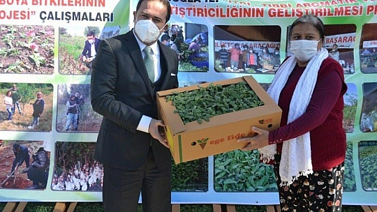 Fethiye'de Aromatik Bitkiler Bayramı