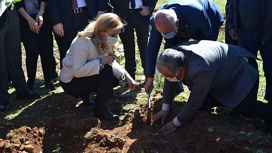 Fethiye'de Aromatik Bitkiler Bayramı