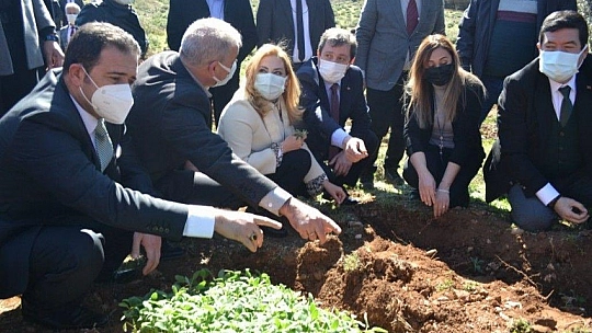 Fethiye'de Aromatik Bitkiler Bayramı