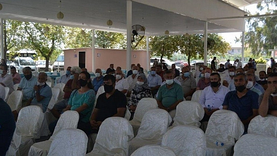 Başoğlu, Güven Tazeledi