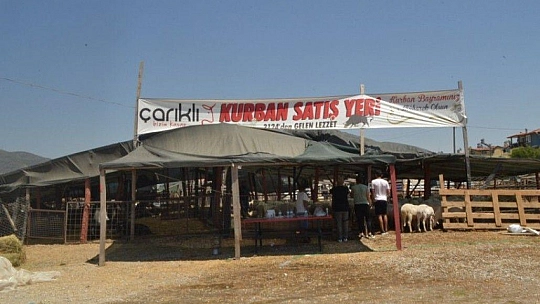 Çarıklı Kasap hayvan pazarında yerini aldı