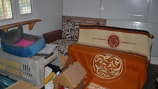 Üzümlü'de sokak hayvanlarına sahip çıktılar