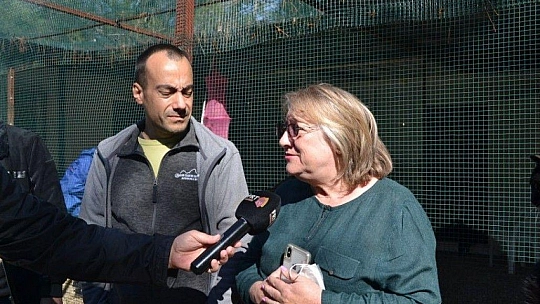 Üzümlü'de sokak hayvanlarına sahip çıktılar