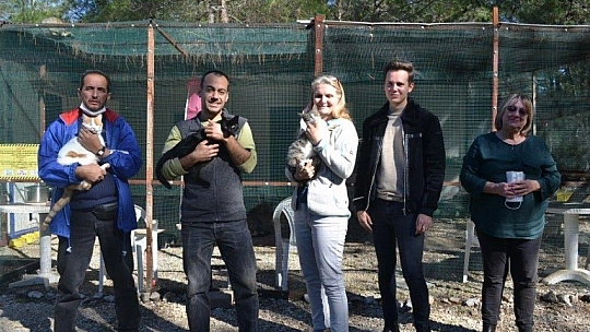 Üzümlü'de sokak hayvanlarına sahip çıktılar