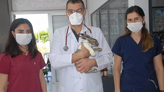 Fethiye'de İlk Doku Nakli