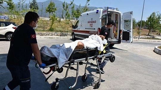 Elektrik sayacı okuyan görevliye pitbull saldırısı iddiası