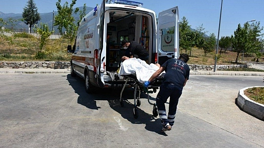 Elektrik sayacı okuyan görevliye pitbull saldırısı iddiası