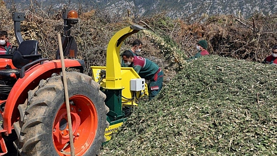 Çevresel atıklar gübreye dönüştürülüyor
