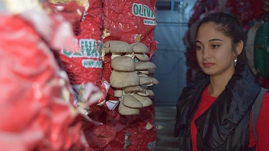 Kadın Çiftçiler İstiridye Mantarını Yerinde İnceledi