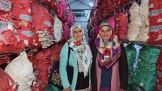 Kadın Çiftçiler İstiridye Mantarını Yerinde İnceledi