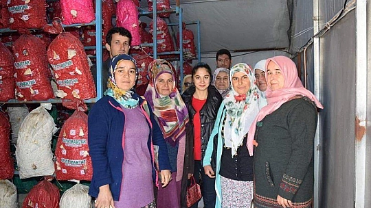 Kadın Çiftçiler İstiridye Mantarını Yerinde İnceledi