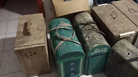 Fethiye'de horoz dövüşü operasyonu: 8 kişi yakalandı