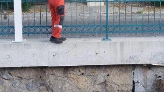 Fethiye'de itfaiyeden kedi kurtarma operasyonu