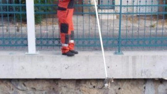 Fethiye'de itfaiyeden kedi kurtarma operasyonu