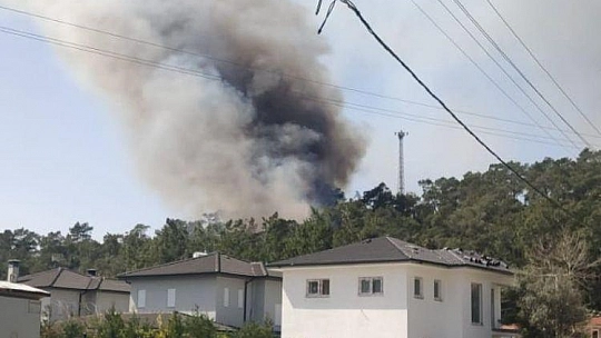 Fethiye'de orman yangını