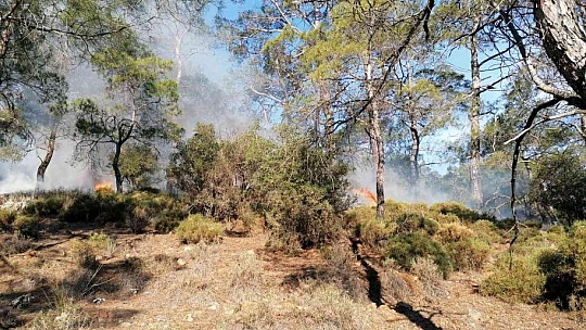 Fethiye'de orman yangınının yayılmasına jandarma engel oldu