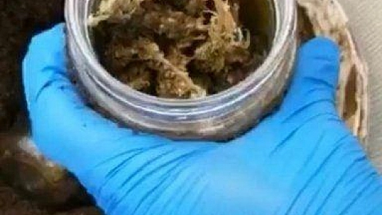 Fethiye'de uyuşturucu operasyonu