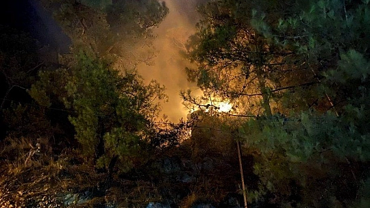 Fethiye'deki orman yangını kontrol altına alındı