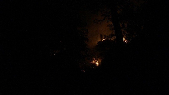 Fethiye'deki orman yangını kontrol altına alındı