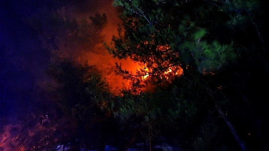 Fethiye'deki orman yangını kontrol altına alındı