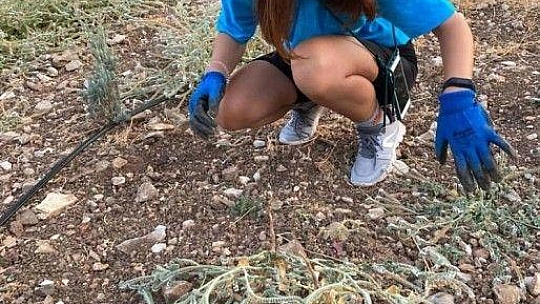Gençlik Tarım kampı'nda 3.dönem başladı