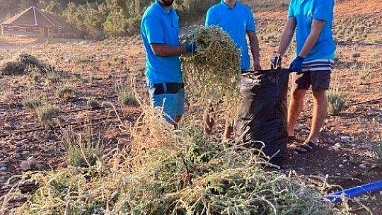 Gençlik Tarım kampı'nda 3.dönem başladı