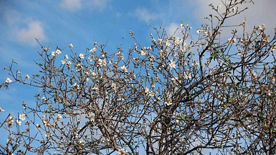 Güzel havanın tadını çıkardılar