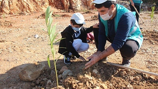 Hafriyat alanına 2 bin ağaç dikildi