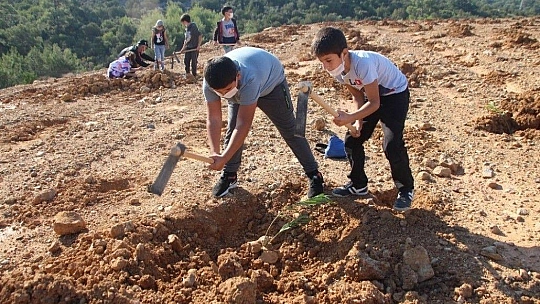 Hafriyat alanına 2 bin ağaç dikildi