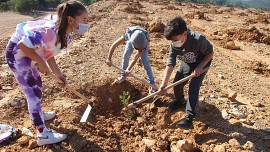 Hafriyat alanına 2 bin ağaç dikildi