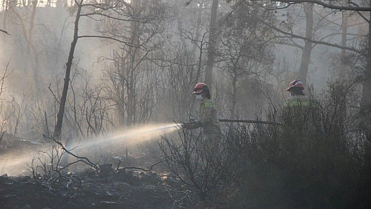 İçmeler yolunda alevler yolu kapattı